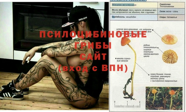 гашишное масло Белокуриха
