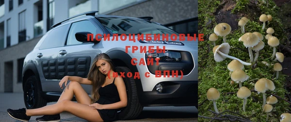 гашик Белоозёрский