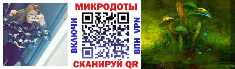 мега ССЫЛКА Армавир Галлюциногенные грибы Psilocybine cubensis